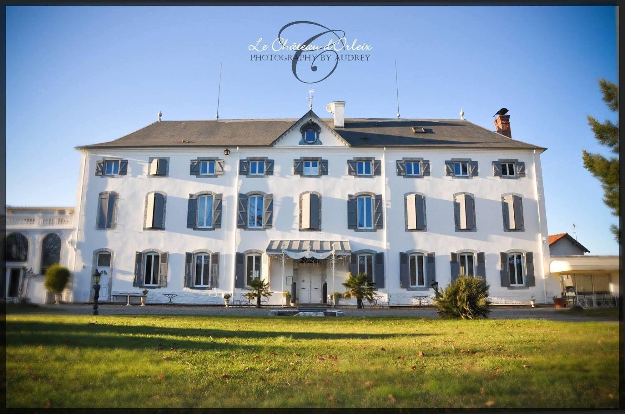 Le Chateau D'Orleix Екстериор снимка